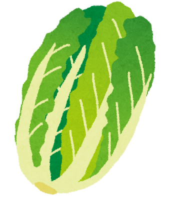 白菜のイラスト